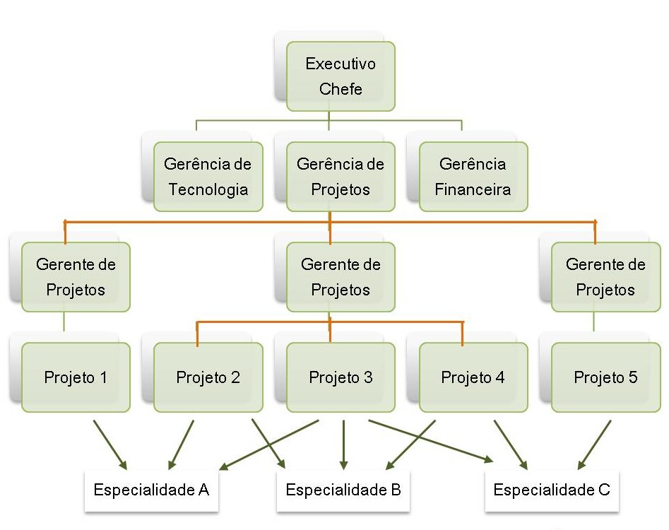 Estrutura Organizacional Gest O De Projetos Askbrain